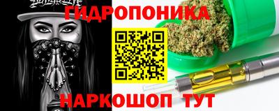 индика Краснокаменск